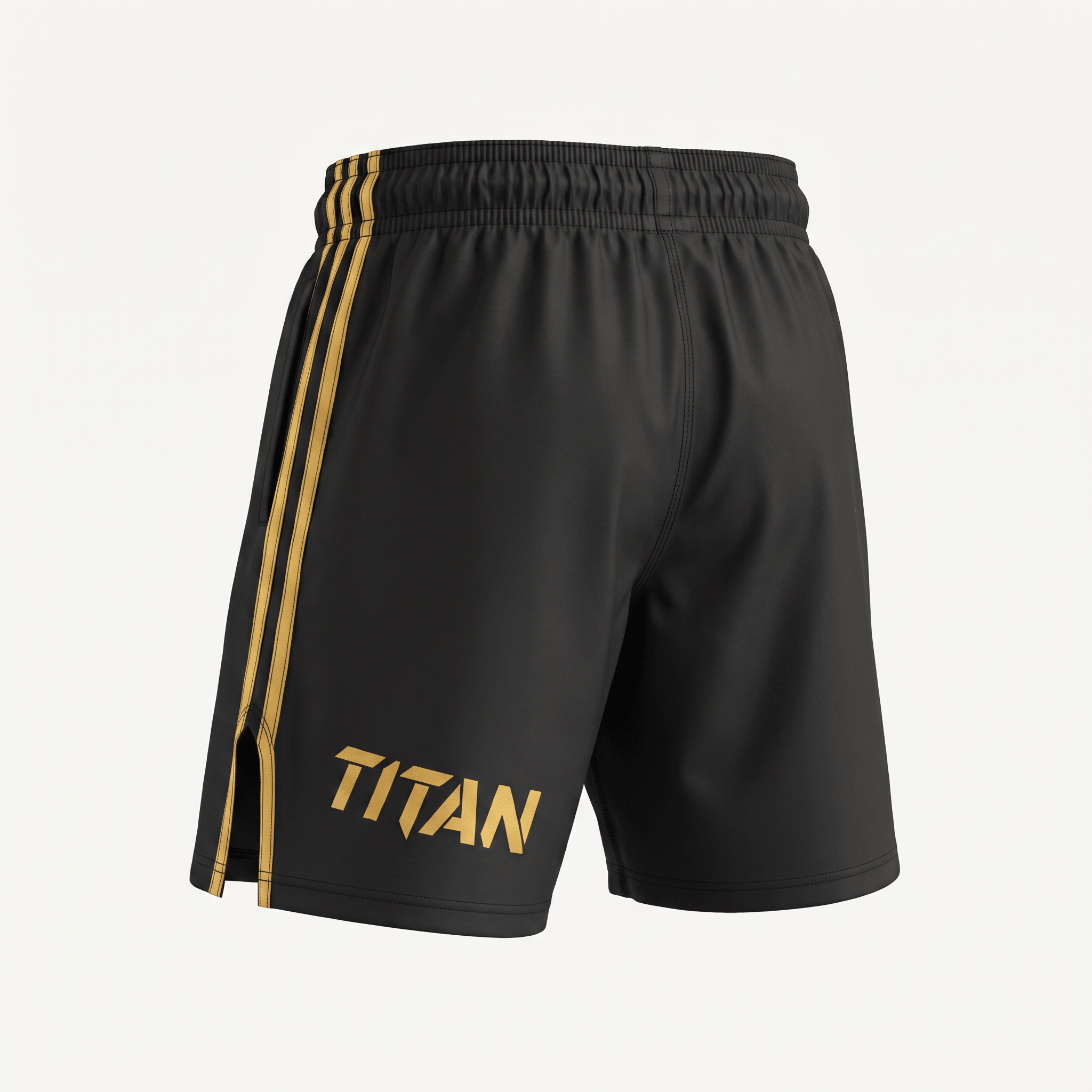 Back view of black athletic shorts with gold side stripes and Titan logo on the leg.