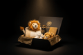 TITAN Kids Royal Gift Set: black box with lion plush hoodie, sneakers, water bottle, and notebook, all gold-branded.
