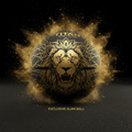 Black medicine slam ball with gold lion face graphic and geometric lines, surrounded by a golden dust explosion.
