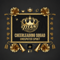 TITAN Crown Edition Cheerleading Spirit Banner