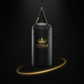 TITAN Speed Bag Crown Edition — matte black with gold crown logo