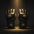 TITAN Pro MMA Grappling Gloves Black & Gold