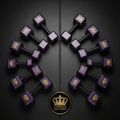 TITAN Dumbbell Set Galaxy Crown Edition flat lay