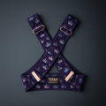 TITAN Women's Posture Corrector Rose Crown Edition