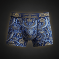TITAN Crown Edition Men's Phoenix Boxer Briefs — Royal Blue & Gold