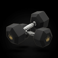 TITAN Hex Dumbbells 50lb Pair Rubber Coated Heavy Dumbbell Set