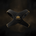 TITAN Posture Corrector - Crown Edition