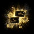 TITAN SPORT GLOBAL tennis wristbands with gold crown branding on dark background