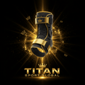 TITAN SPORT GLOBAL pro ankle brace lace-up stabilizer