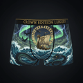 TITAN Viking Storm Men's Boxer Briefs Crown Edition — anime Viking ship art on matte black