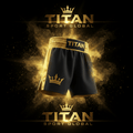 TITAN SPORT GLOBAL pro boxing shorts satin crown edition