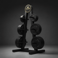 TITAN Crown Edition Weight Plate Tree Storage Rack matte black gold