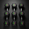 TITAN Dumbbell Set Neon Drip Crown Edition flat lay
