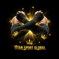 TITAN SPORT GLOBAL baseball compression sleeves with gold crown branding on dark background