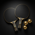 TITAN Table Tennis Paddle Set Crown Edition