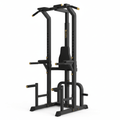 TITAN All-In-One Pull-Up & Dip Tower Home Gym Station — Crown Edition