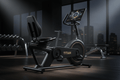 TITAN Crown Edition Recumbent Exercise Bike matte black gold