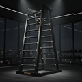 TITAN Crown Edition Vertical Climbing Machine matte black gold