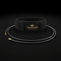 TITAN Swim Resistance Belt Crown Edition — matte black with gold crown logo