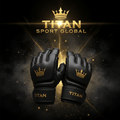 TITAN SPORT GLOBAL pro MMA gloves 4oz hybrid grappling gloves