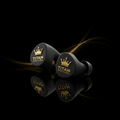 TITAN Silicone Swim Ear Plugs Crown Series — matte black with gold crown branded case
