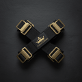 TITAN Crown Edition Rowing Stretcher Foot Strap Set