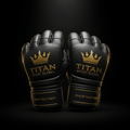 TITAN MMA Gloves Blackout Series — matte black with gold crown logo