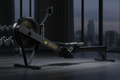 TITAN Crown Edition Air Resistance Rowing Machine matte black gold