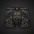 TITAN Men's Boxer Briefs Viking Crown Edition