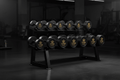 TITAN Crown Edition Fixed Weight Barbell Set matte black gold