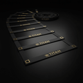 TITAN Agility Ladder Crown Series — matte black with gold crown logo