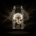 TITAN Lion's Mane Mushroom Extract - 50% Erinacines Brain Booster