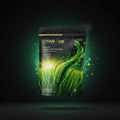 TITAN Organic Wheatgrass Powder Vegan Detox Superfood supplement pouch