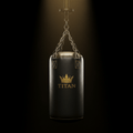TITAN Pro Heavy Punching Bag 100lb Black & Gold