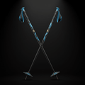 TITAN Off-Grid Nordic Ski Poles — Glacier Crown SWAG