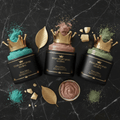 TITAN Crown Edition Gentle Luxury Hand Scrub Set