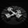 TITAN Chrome Dumbbell Set Diamond Crown Edition mirror polish gold