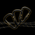 TITAN Carabiner Set Blackout Gold — matte black with gold crown logo