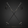 TITAN Crown Ski Poles Aluminum All-Mountain