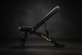 TITAN Crown Edition Adjustable Weight Bench matte black gold