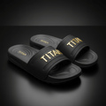 TITAN Gold Logo Recovery Slides