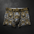 TITAN Crown Edition Men's White Lion Athletic Trunks — White & Gold