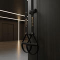 TITAN Crown Edition Suspension Trainer System matte black gold