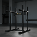 TITAN Crown Edition Freestanding Dip Station matte black gold