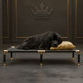TITAN Gentle Giant AirRest Elevated Cooling Cot — Crown Edition