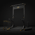 TITAN All-In-One Pull Day Back & Bicep Home Gym Kit — Crown Edition