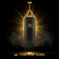 TITAN SPORT GLOBAL pro heavy bag 100lb leather punching bag