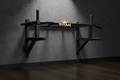 TITAN Crown Edition Wall-Mounted Pull-Up Bar matte black gold