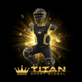 TITAN SPORT GLOBAL pro baseball catcher's gear set 3-piece crown edition