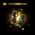 TITAN SPORT GLOBAL youth shin guards crown edition